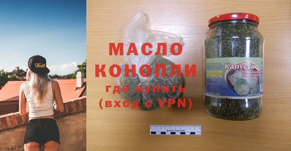 молекула духа Переславль-Залесский