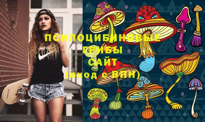 Псилоцибиновые грибы Magic Shrooms  Алдан 