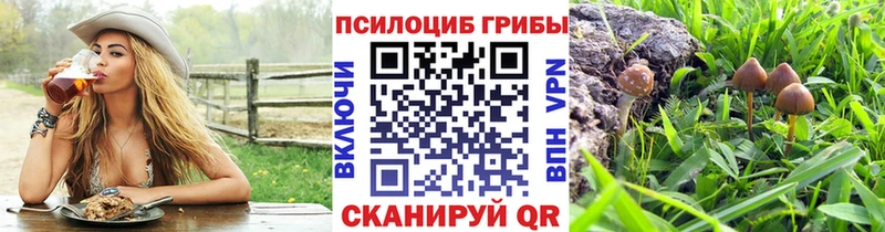Псилоцибиновые грибы Magic Shrooms  ссылка на мегу вход  Алдан 